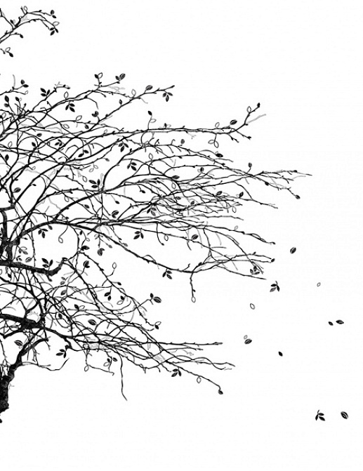 Панно и фотообои Affresco Фрески и фотообои ID135780