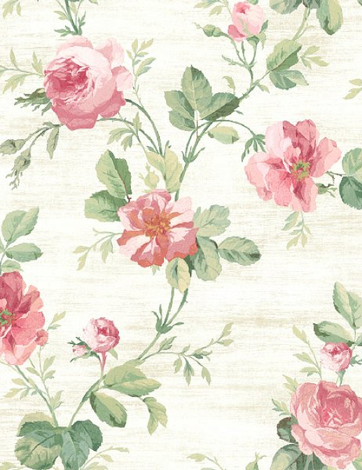 Обои Wallquest English Rose EN11103