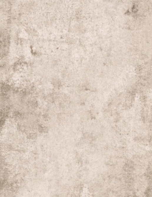 Обои Fresco Elegant SZ001473