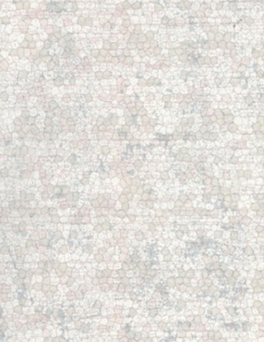 Обои Fresco Elegant SZ001414
