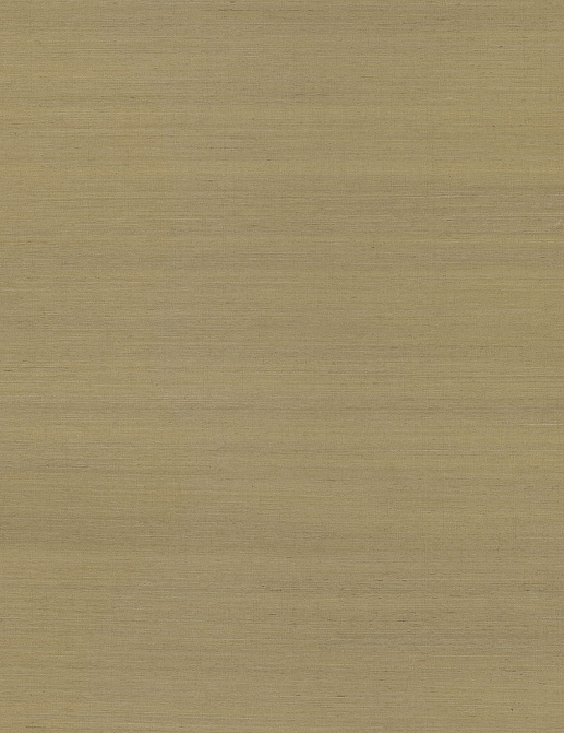Обои York Ronald Redding Grasscloth & Natural Resource GV0107NW