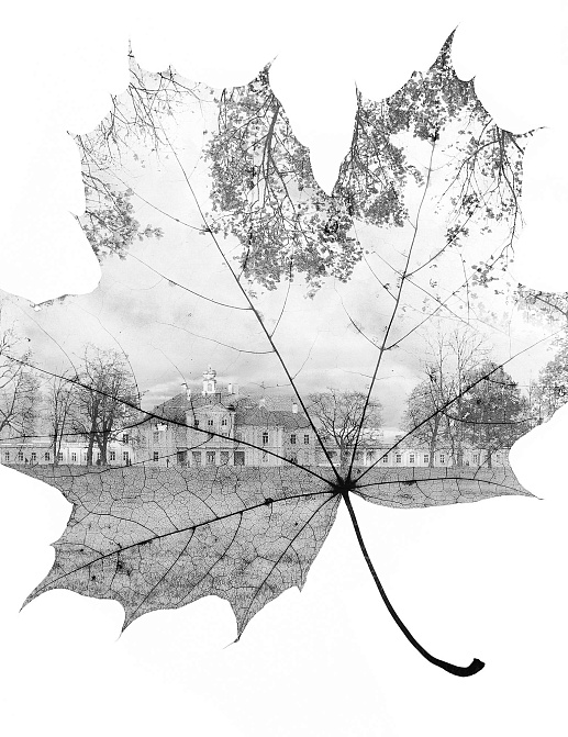 Обои Wall Street Grayscale 16936