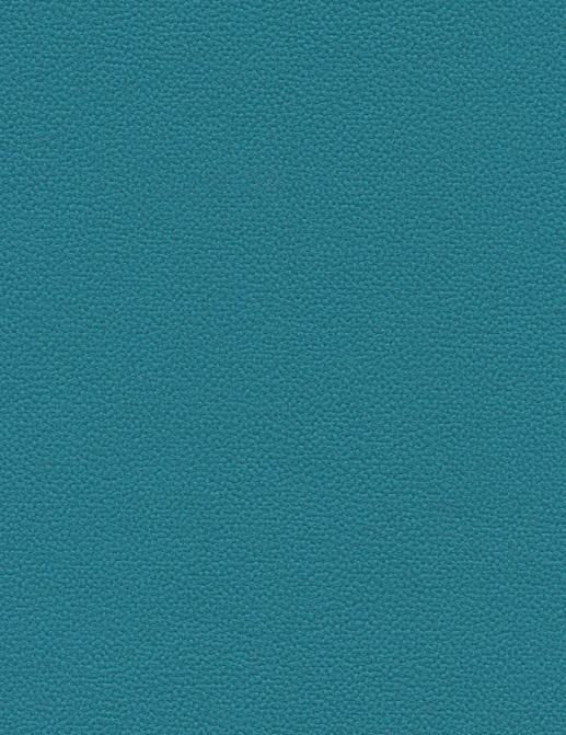 Обои Texdecor Acoustic Vinyl Wallcoverings DNE90230501