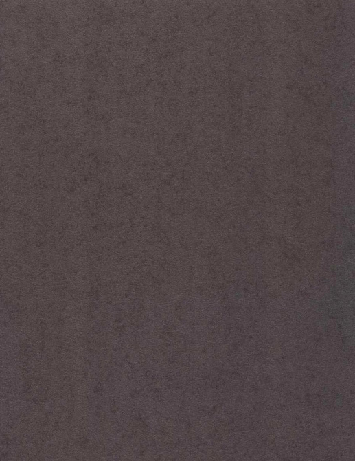 Обои Eijffinger Black and Light 356195