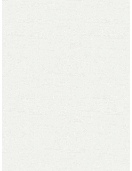 Ткань Fabricut Wide Natural Sheers Textural Breeze Pearl Sundowner/Sesame