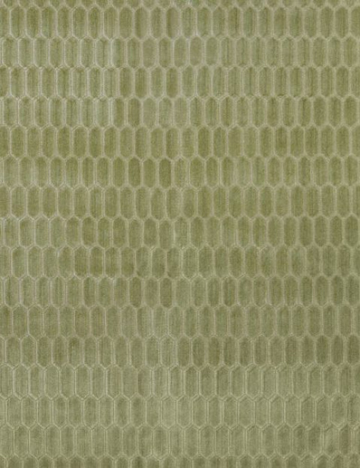 Ткань KAI Mirage Rialta/Aloe
