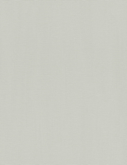 Обои Rasch Hyde Park 411874