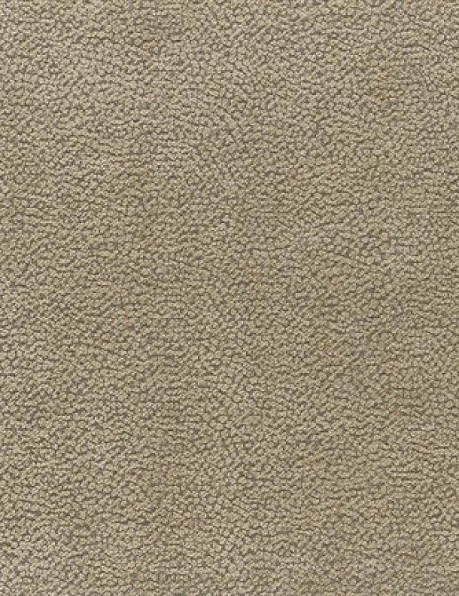 Ткань Nina Campbell Brodie Weaves NCF4143-08