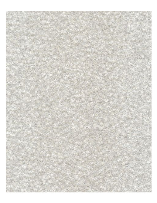 Обои Casamance Chromatic C9750354