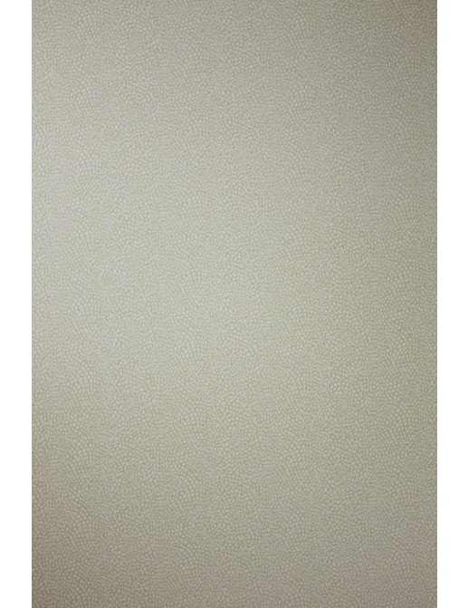 Обои Osborne & Little Wallpaper Album VII W6491-04