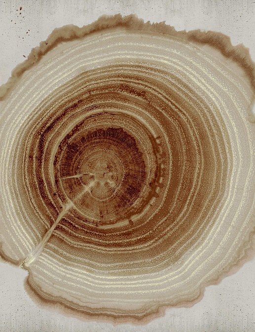 Обои Wall & Deco Contemporary Wallpaper Collection WDEE2102