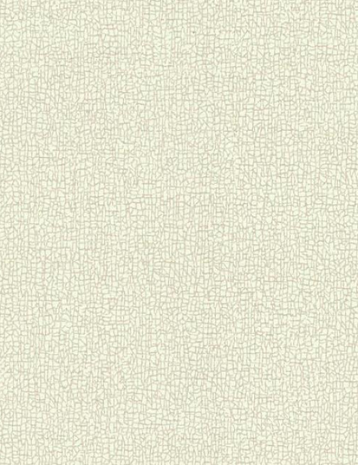 Обои York Candice Olson - Terrain COD0534N