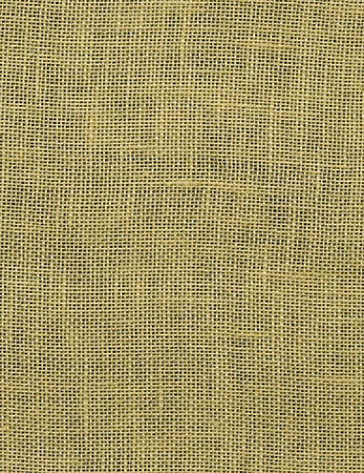Ткань Designers Guild Bassano F1563/13