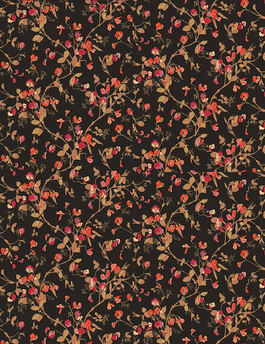 Обои Cole & Son Collection of Flowers 81/11046