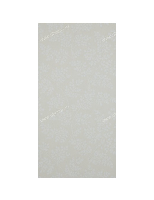 Обои Sanderson Caverley DCAVCO104