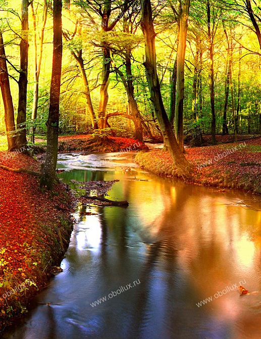 Панно и фотообои A. S. Creation XXL II 303 Forest Stream