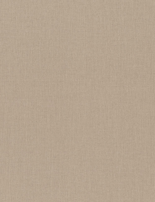 Обои Rasch Wall Textures XL Vol3 960709