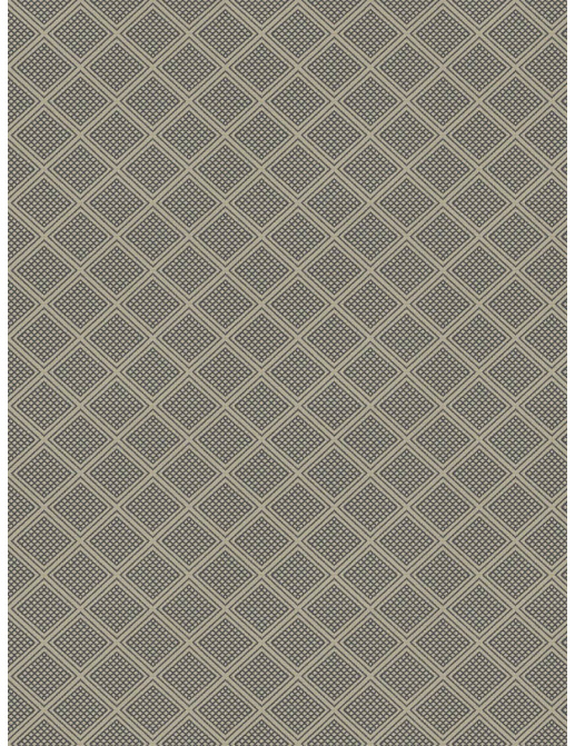 Ткань Fabricut Vignettes Vol.XVI Graphite Sci-fiDiamond/Dusk