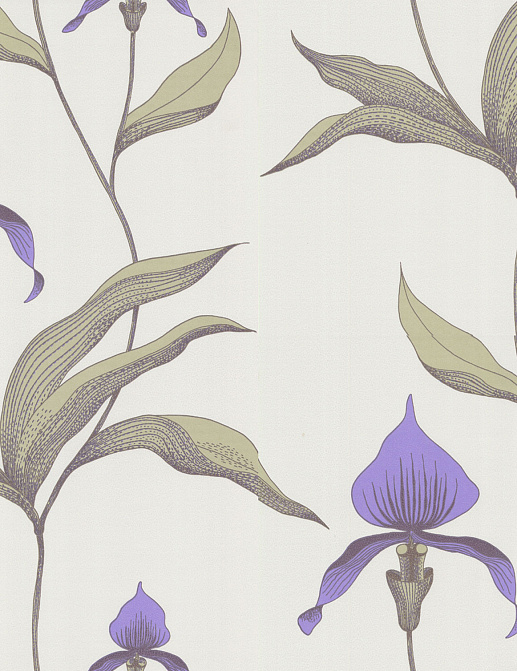 Обои Cole & Son Contemporary Selection 66/4024