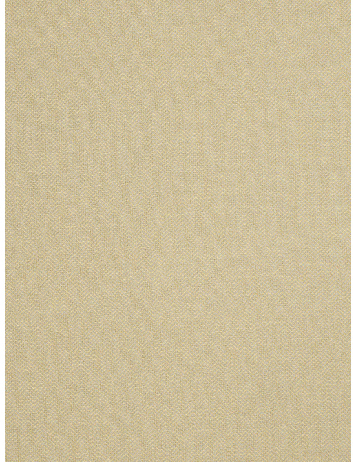 Ткань Trend Lemon Zest Cashew Prints & Wovens Vol.III 02622/LemonZest