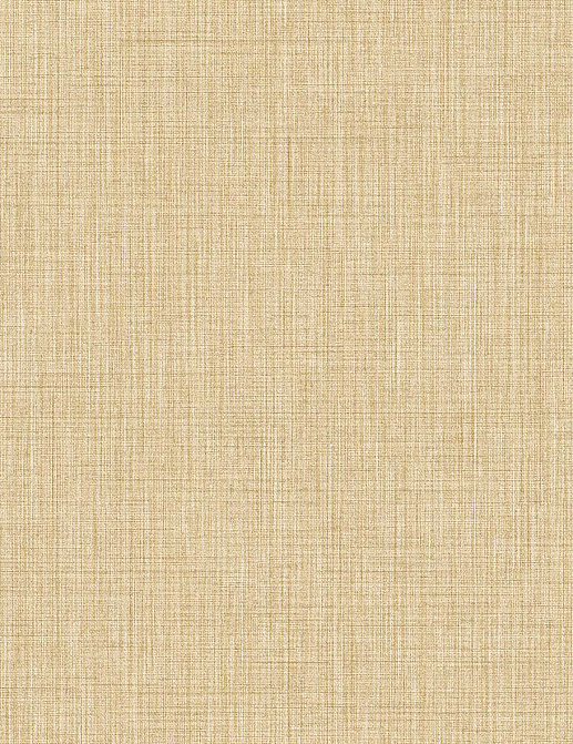 Обои Parato Cristiana Masi (Amazzonia) 22083