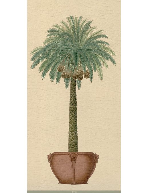 Панно и фотообои Iksel Scenic & Architectural Wallpapers Potted Palms PT03