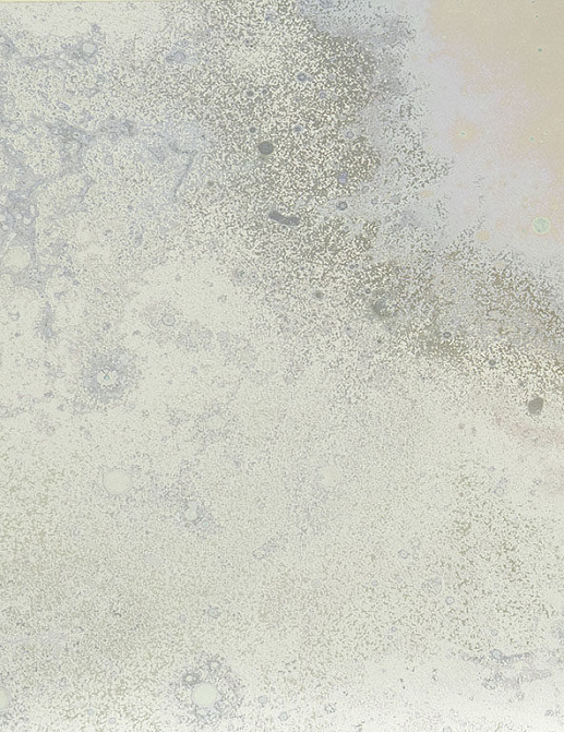 Панно и фотообои Calico Inverted Spaces Andromeda