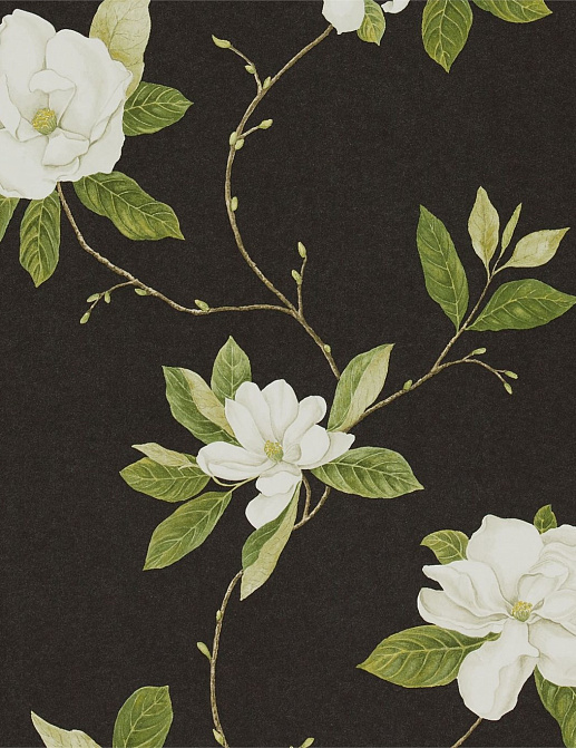Обои Sanderson Parchment Flowers DPFWSW103