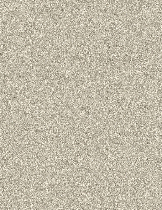 Обои Rasch Passepartout 606645