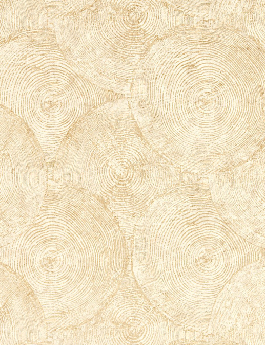 Обои Clarke & Clarke Expressions Performans ZW0209/05