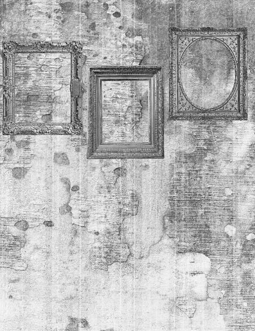 Панно и фотообои Gemini Designer murals collection KT226M-D