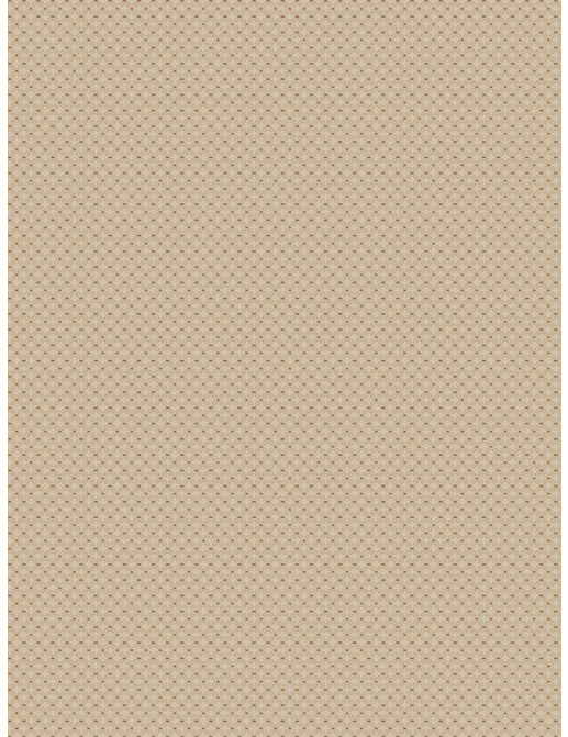 Ткань Fabricut Chromatics Vol.XXII Ivory Tradition/Parchment