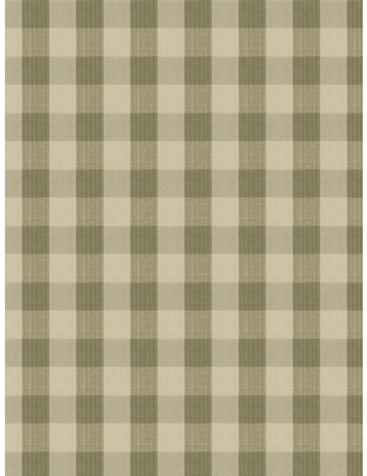 Ткань Stroheim Charles Faudree Biron Strie Check Biron strie check/Sage