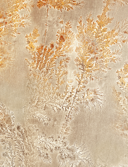 Панно и фотообои Glamora Creative Wallcovering GLFO124A