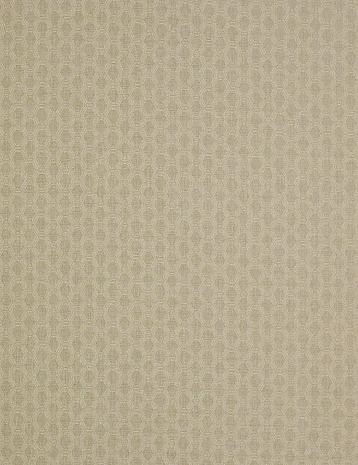 Ткань Colefax and Fowler Shaw F4335/01