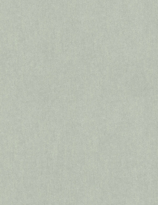 Обои Rasch Amiata 296340