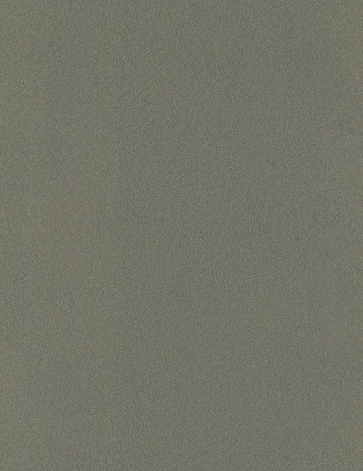 Обои Rasch Club 418668