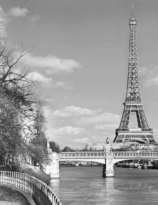 Панно и фотообои Affresco Фрески и фотообои ID11254