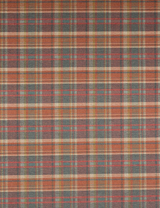 Ткань Colefax and Fowler Magnus Checks F4721/03