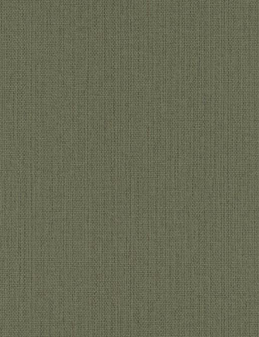 Обои Rasch Kimono 407945
