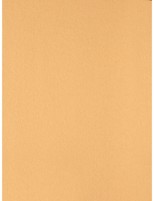 Ткань Holland & Sherry Wool Felt DE11956