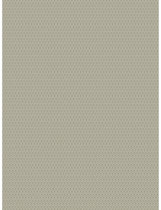 Ткань Fabricut Luxe Nuances Granite Moon Rich&Famous/GleamingTaupe