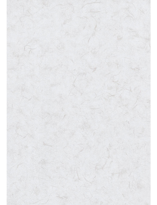 Обои BN International Glassy BN 218301