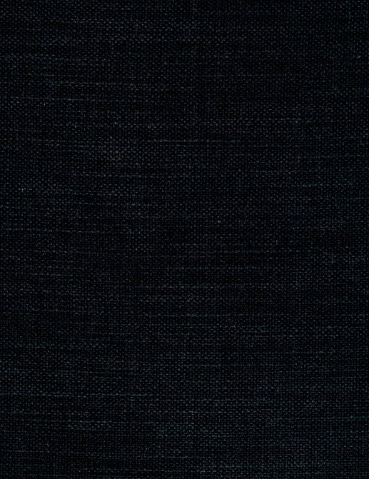 Ткань Clarke & Clarke Black + White F0594/30