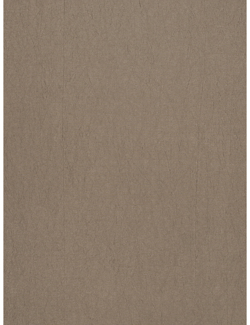 Ткань Trend Silky Solids Drapery 02838/Mocha