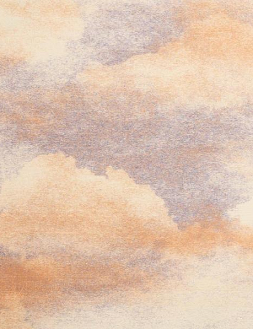 Обои Maison Neva Haiku HA3/09