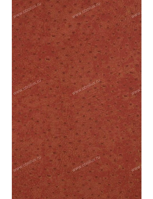 Обои York Natural Instincts NT9008