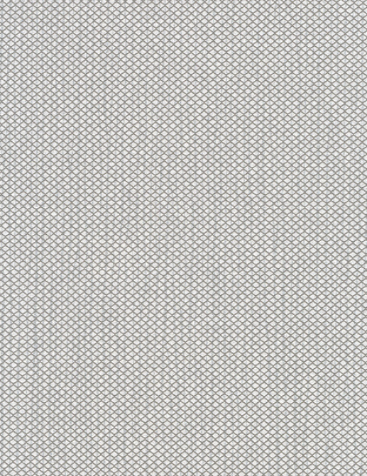 Обои Hookedonwalls Delicate Chic 73200