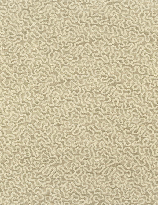 Ткань Thibaut Woven Resource vol.7 Companions W79649