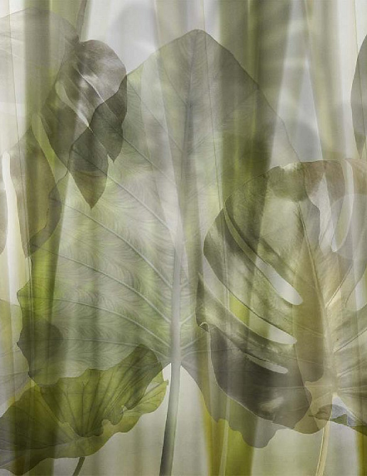 Панно и фотообои Affresco New Art RE200 COL1